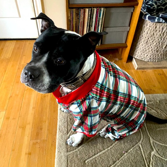 Meet your Posher, Meghan - Picture 1 of 5